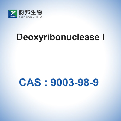 Katalysatoren Enzymen DNase I (＞2000u/Mg) CAS 9003-98-9 Deoxyribonuclease I Biologisch