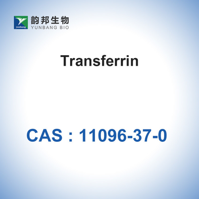 CAS 11096-37-0 Biologische Katalysatorsenzymen/Menselijke Holo-Transferrine