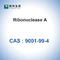 RN-ase een Ribonuclease A van Runderalvleesklier Biologisch CAS 9001-99-4