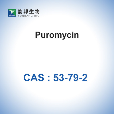 ISO Puromycin Stylomycin Vloeibare Cas 53-79-2