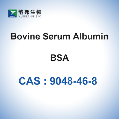 Het Gevriesdroogde Poeder van CAS 9048-46-8 BSA van de runderserumalbumine oplossing