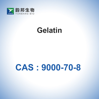 Van het de Gelatinepoeder van CAS 9000-70-8 Bindmiddel van de de Gelatinespons het Absorbeerbare