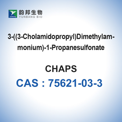 CAS 75621-03-3 DOET BARSTEN Biologische Buffers 3 [(3-Cholamidopropyl) dimethylammonio] - 1 -1-propanesulfonate hydraat