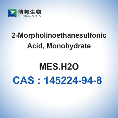 Van CAS 145224-94-8 MES Biologische 98% Moleculaire de Biologiereagens van de het Monohydraatbuffer