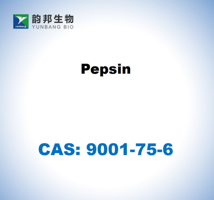 CAS 9001-75-6 Pepsine uit het maagslijmvlies van varkens