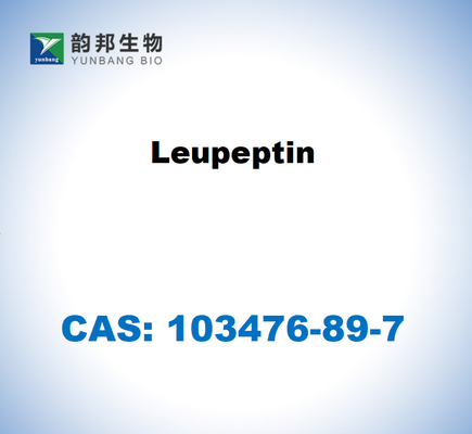 CAS 103476-89-7 Leupeptine