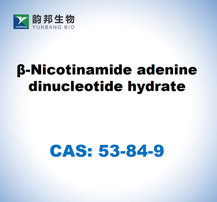 CAS 53-84-9 Β-nicotinamide-adenine dinucleotide hydraat