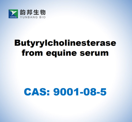 CAS 9001-08-5 Butyrylcholinesterase uit serum van paarden