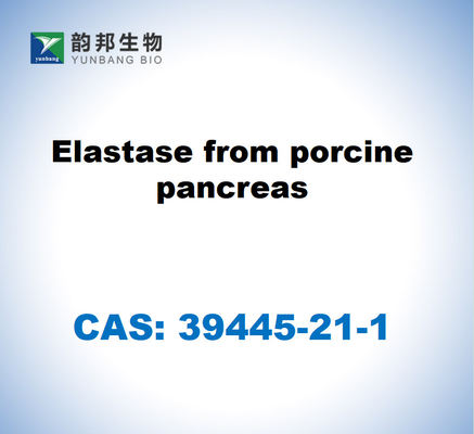 CAS 39445-21-1 Elastase uit de pancreas van varkens