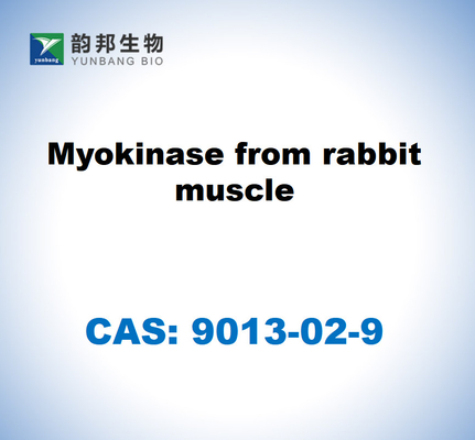 CAS 9013-02-9 Myokinase uit konijns spier