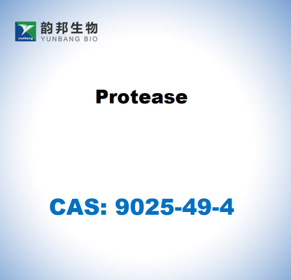 CAS 9025-49-4 Protease van Aspergillus saitoi