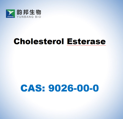 CAS 9026-00-0 Cholesterolesterase van Pseudomonas fluorescens