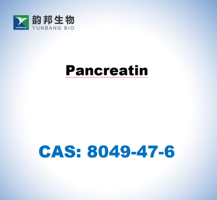 CAS 8049-47-6 Pancreatine uit het pancreas van varkens