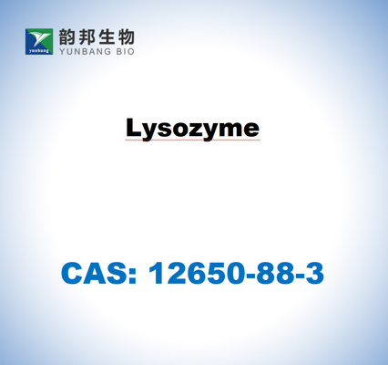 CAS 12650-88-3 Lisozym uit kippeneiwit