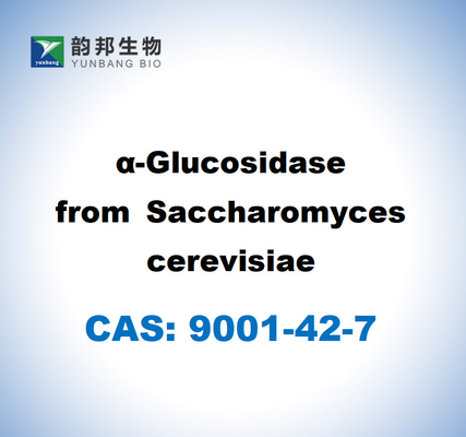 CAS 9001-42-7 A-glucosidase van Saccharomyces cerevisiae