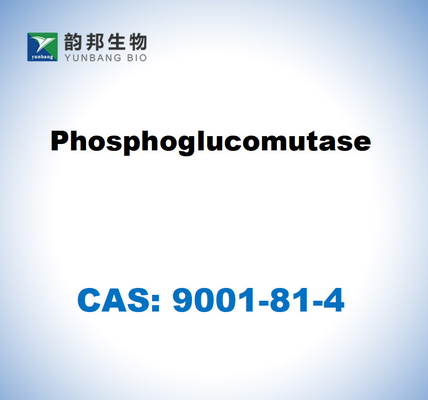 CAS 9001-81-4 Fosfoglucomutase EC 5.4.2.2