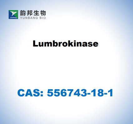CAS 556743-18-1 Lumbrokinase