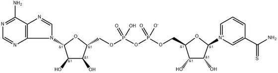 CAS 4090-29-3 Thionicotinamide Adenine Dinucleotide