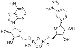CAS 53-84-9 Β-nicotinamide-adenine dinucleotide hydraat