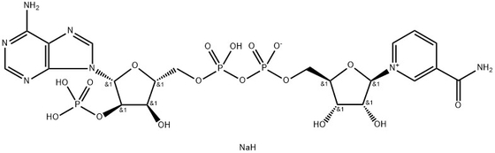 CAS 24292-60-2 NADP, disodiumzout