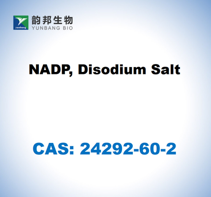 CAS 24292-60-2 NADP, disodiumzout