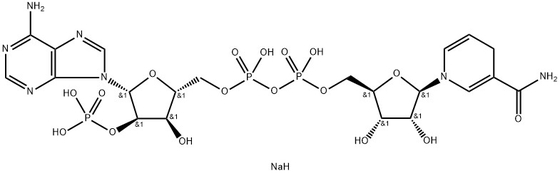 CAS 2646-71-1 Nadph Tetrasodiumzout