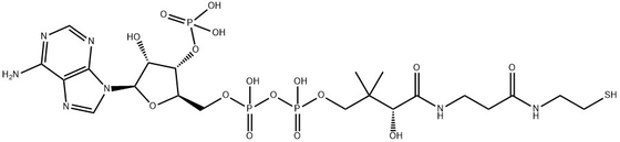 CAS 85-61-0 Co-enzym A 85% celcultuurgraad