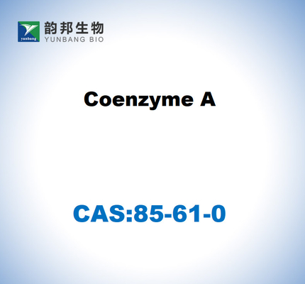 CAS 85-61-0 Co-enzym A 85% celcultuurgraad