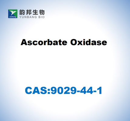 CAS 9029-44-1 Ascorbaatoxidase