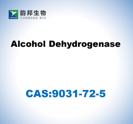 CAS 9031-72-5 Alcoholdehydrogenase