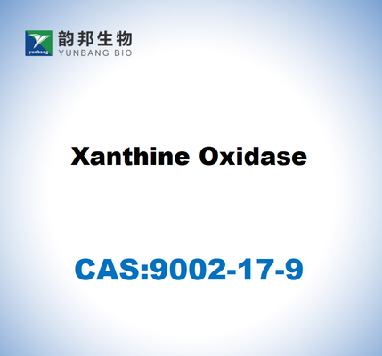 CAS 9002-17-9 Xanthine oxidase