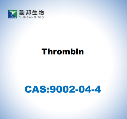 CAS 9002-04-4 Thrombin