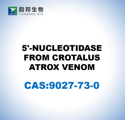 CAS 9027-73-0 5'-nucleotidase uit CROTALUS ATROX-gif