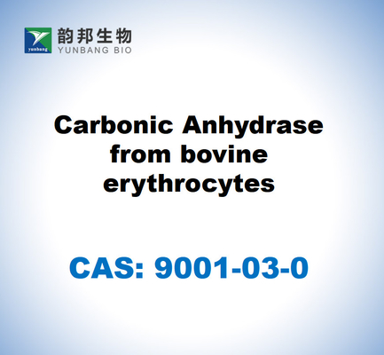 CAS 9001-03-0 Koolstofanhydrase uit runderrythrocyten