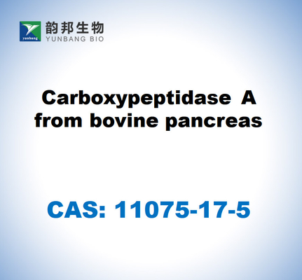 CAS 11075-17-5 Carboxypeptidase A uit de pancreas van runderen