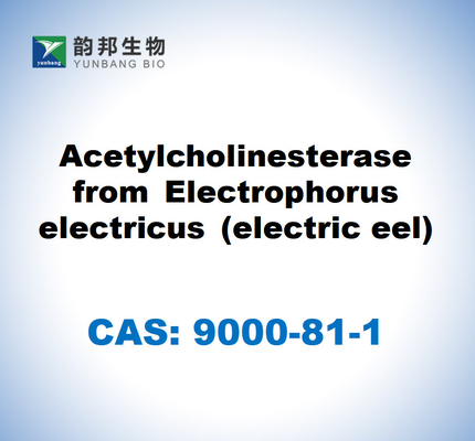 CAS 9000-81-1 Butyrylcholinesterase uit serum van paarden