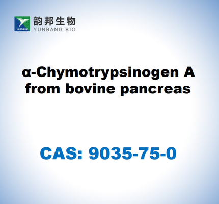 CAS 9035-75-0 α-chymotrypsinogeen A uit de pancreas van runderen