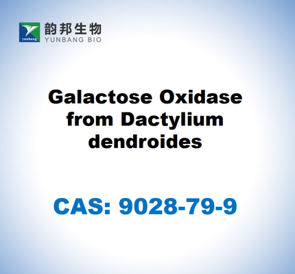 CAS 9028-79-9 Galactose oxidase van Dactylium dendroides
