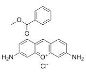 CAS62669-70-9 leveranciers van biologische vlekken Rhodamine 123