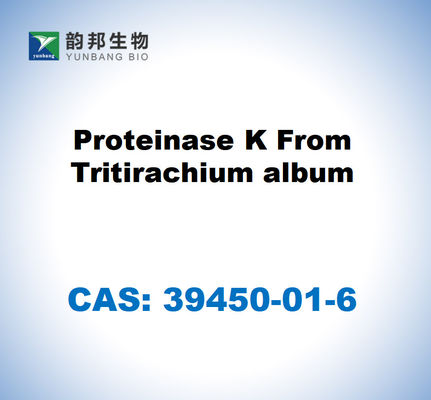 CAS 39450-01-6 Proteinase K uit Tritirachium album